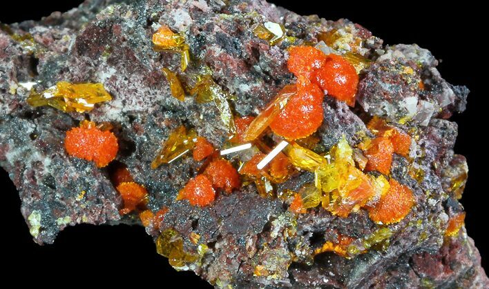 Wulfenite Crystal Cluster - Rowley Mine, AZ #76827